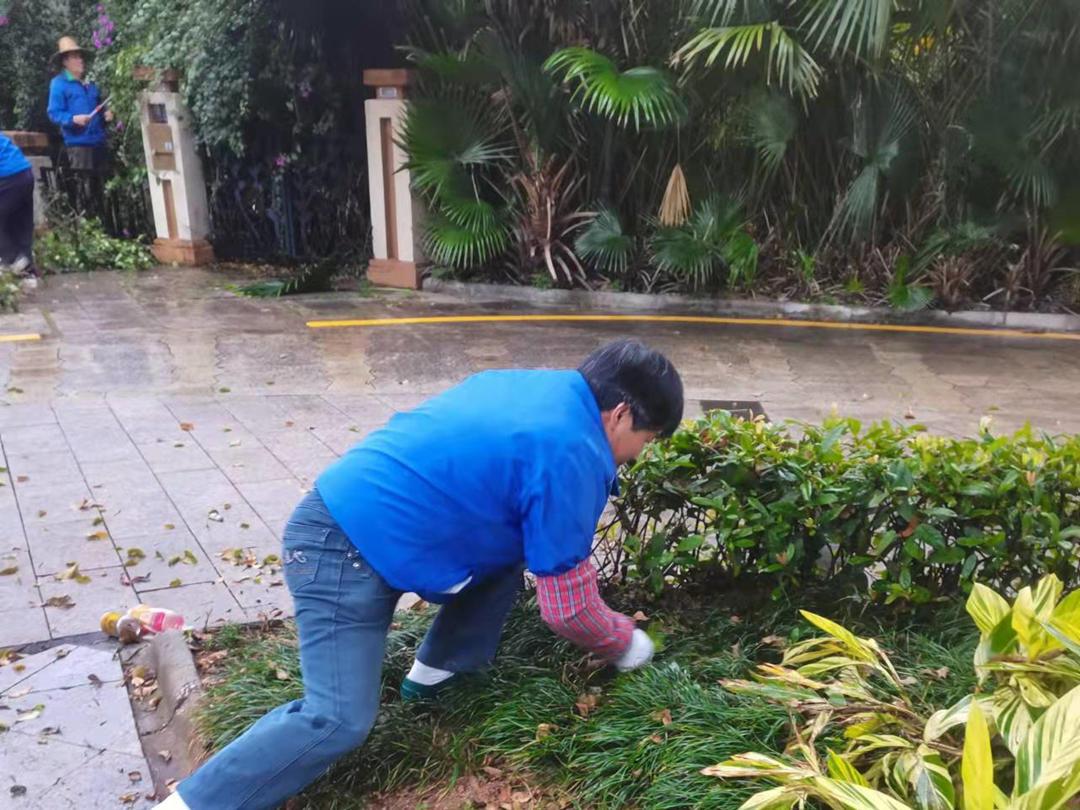 菲律宾网赌合法平台工人正在清理杂草